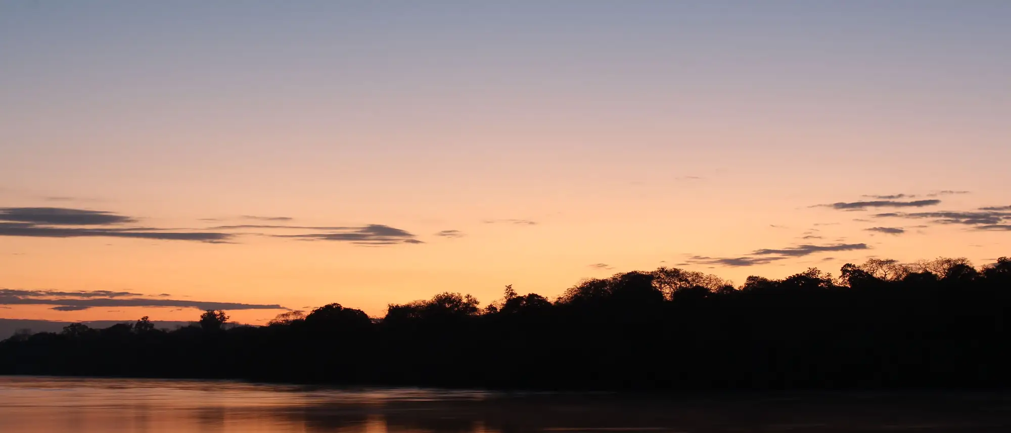 Silhouetted tree line reflected in calm golden water at dusk, Zambia