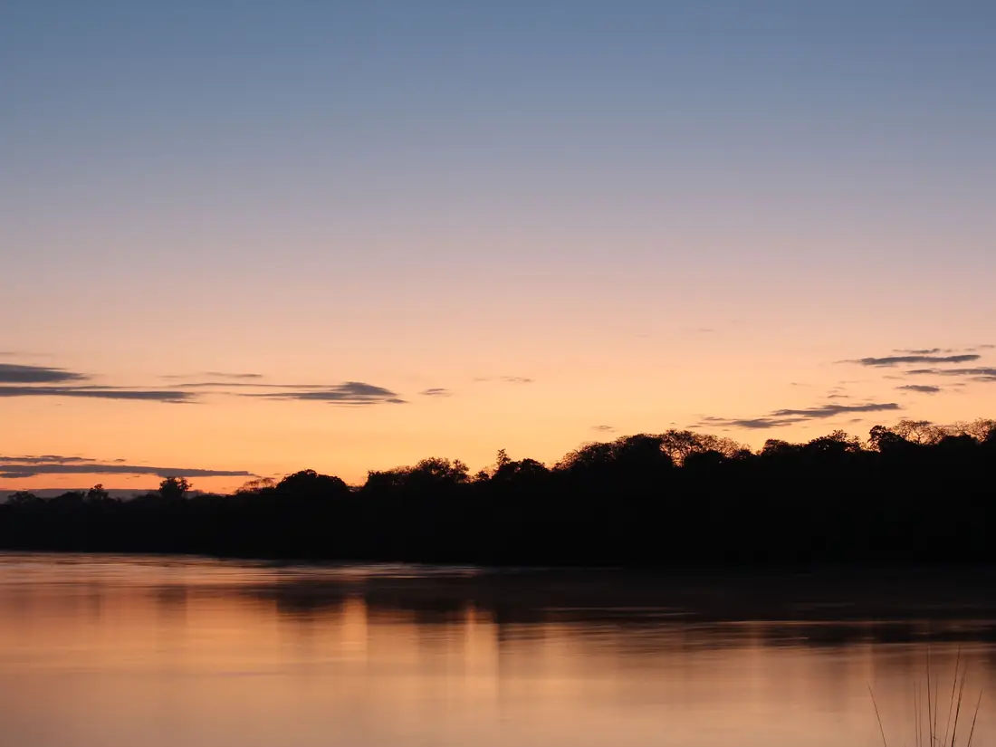 Silhouetted tree line reflected in calm golden water at dusk, Zambia