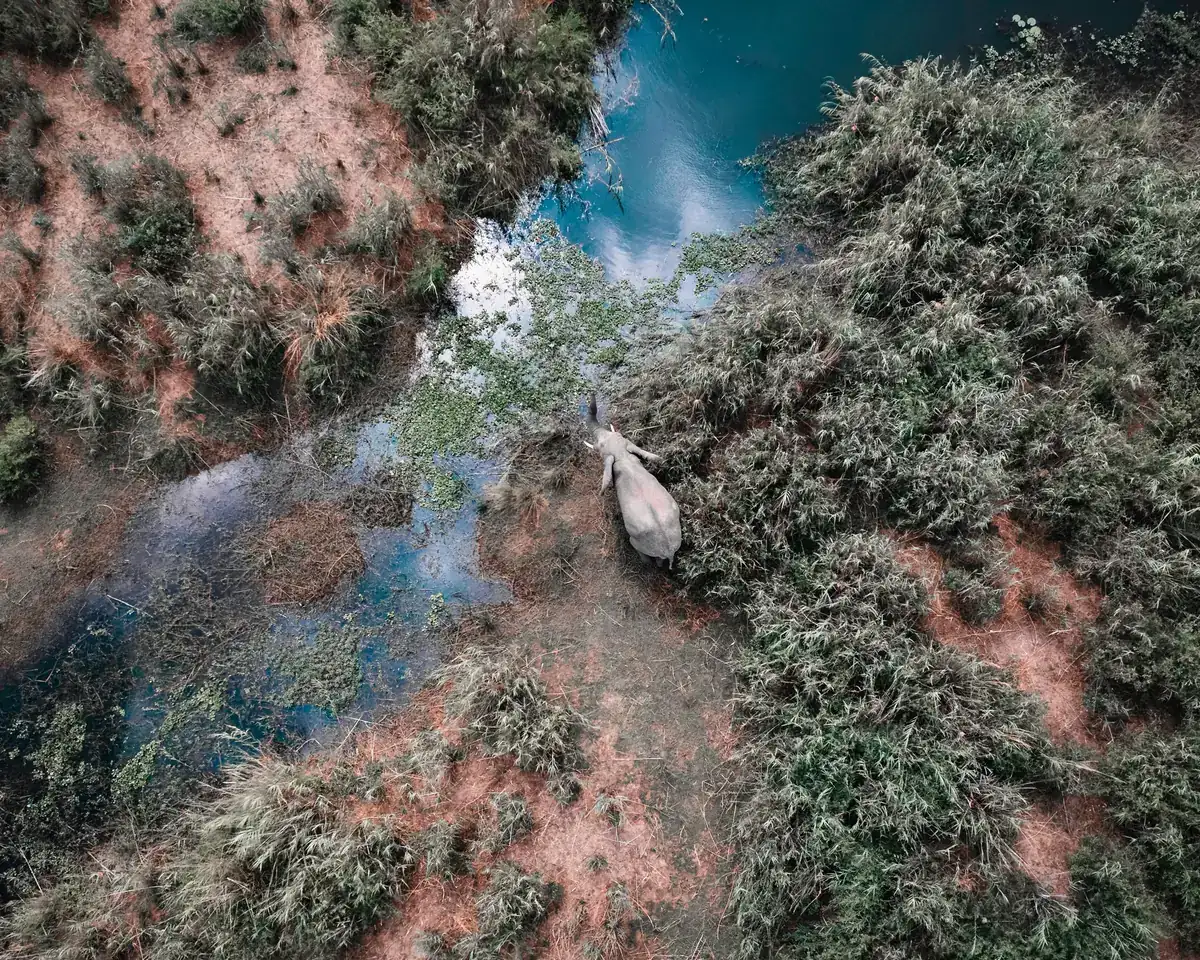 Aerial view of a mosaic of wetland, grassland and winding drainage channels, Lusaka Province, Zambia